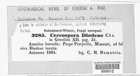Image Associated With the Occurrence